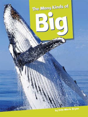 The Many Kinds of Big - ebook